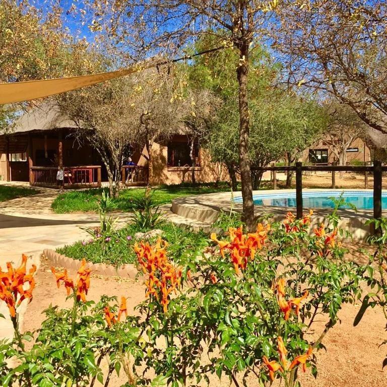 Golden Impalas Bush Resort Hammanskraal Kültér fotó